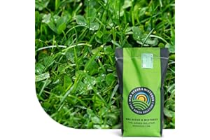 MRS SEEDS & MIXTURES Clover Lawn: Semences de gazon avec micro trèfle | 1 kg - 50 m² | Pelouse luxuriante et durable | Résistance à la sécheresse | Nécessite peu d'entretien | Idéal pour les zones ombragées