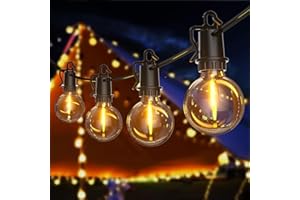FIFlying Outdoor String Lights, 20.1M/65.9FT Outdoor Lights Mains Powered with 30+2 Shatterproof Bulbs, IP54 Waterproof Garden String Lights Festoon Lights for Garden Backyard Patio Wedding Party