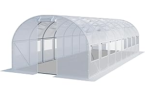 TOOLPORT Serre de Jardin Serre Tunnel Plastique Robuste 3x8m - Bâche PE 180g/m² Blanc Transparent