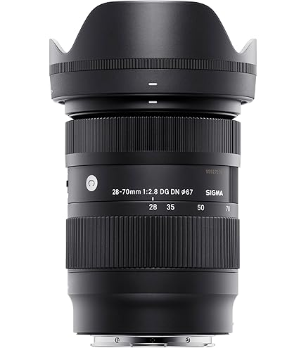 Buy Panasonic LUMIX S5II Mirrorless Camera, 24.2MP Full