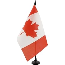 Drapeau De Table Miami - 21x14 Cm Avec Hampe 25 Cm Et Socle Noir - 100% Polyester, Décoration Intérieure Originale