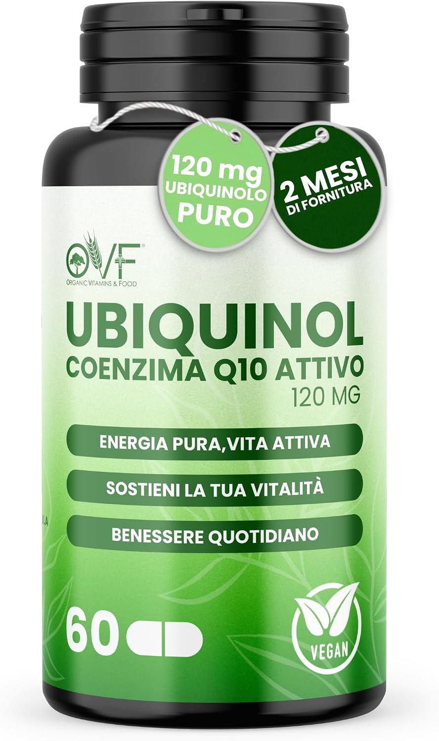 Vue 12