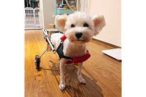 Cora Pet Wagen Hunderollstuhl Rollstuhl Dog Wheelchair für Hunde Katze Hase, Hinterbein/Hintere Füße, Rollwagen Gehhilfe Hundegehilfe Hunderollwagen, Haustier von 2~44 lb