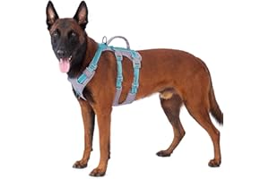 Huntboo pettorina cane taglia piccola media grande, pettorina antifuga cane, pettorina per cani con Manico, Traspirante, Regolabile, Riflettenti, Leggera, per Passeggiate e Addestramento (Blu Teal,M)