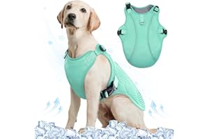 Kuoser Gilet rafraîchissant pour chien, manteau rafraîchissant pour chien, manteau frais respirant pour chiens, harnais de refroidissement réfléchissant pour chien, essentiel d'été pour chien, vert,