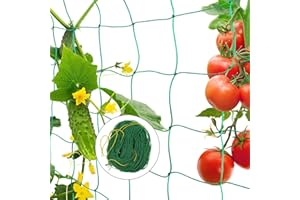 LSRVNM Plant Support Garden Netting, Pea Netting with 50 Plant Ties, Garden Trellis Mesh with Large Mesh Size, for Bean Climbing Plants Cucumber Tomatoes Flowers Vine Plant (2 x 5m)