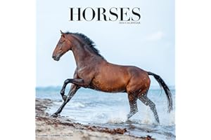 Horses Calendar 2024 | Square Horses Wall Calendar - 16 Month