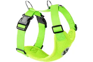 SlowTon Arnés para automóvil,(Sin cinturón de Seguridad) Arnés de Chaleco para Mascotas para Perros Seguridad en el Coche Cuello Ajustable y Correa para el Pecho