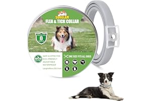 SURGLAM Collare Antipulci e Zecche per Cani, Collare Regolabile Impermeabile, 8 Mesi di Protezione, Soluzione Naturale Contro i parassiti per Cani, Taglia Unica per Tutti