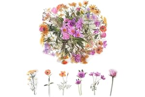 REEKNOKOL 80 Pcs Flower Stickers, Transparent Scrapbook Stickers Handmade Floral Stickers Flower Stickers for Adults for Scrapbook Supplies, Card, Laptop, DIY Crafts (Pink+Vigour)