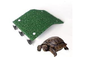 AMZTEMU Plataforma para Tortugas de Agua, Isla para Tortugas, Rampa para Tortugas, Plataforma Flotante Tortugas con decoración Verde