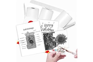 Carta per stampanti, carta per stampante tascabile, carta termica per stampante T02/M02X/M02L, 10 anni di carta adesiva Phomemo, nero su bianco Liene, 3 rotoli da 50 mm x 3,5 m