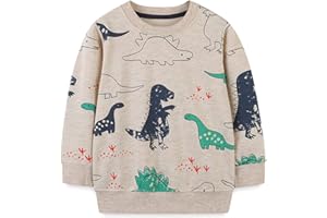 WINKEEY Garçon Sweat-Shirt Fluorescent Pull Enfant Imprimé Dinosaure Requin Manches Longues