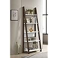 DeckUp Plank Reno Engineered Wood Ladder Book Shelf and Display Unit (Walnut and White, Matte Finish)