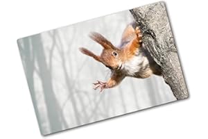 Tulup Szklana deska do krojenia 80x52cm - Płyta ochronna osłona na kuchenkę indukcyjną Szkło Hartowane - Wiewiórka