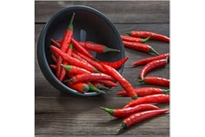 levandeo Lot de 2 Tableaux en Verre 30 x 30 cm Décoration Murale en Forme de Piment, Verre, Bild 1