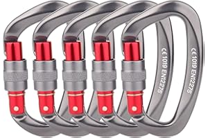 Paliston 25kN Kletterkarabiner Aluminium Schraubkarabiner D Form Karabiner Karabinerhaken