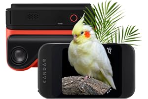 KanDao QooCam Ego – tittarintegrerad 3D VR-kamera, 4K 60 fps videor stereoskopisk omedelbar visning, för resor, fest, VR-inne