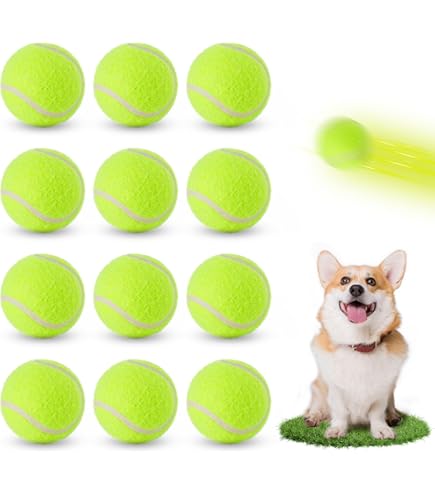 Climsom Automatischer Ballwerfer für Hunde Ballouf Deluxe Inklusive 6 Bälle - 6 Stunden Laufzeit - Inklusive Fernbedienung - 3 Entfernungseinstellungen Climsom Automatischer Ballwerfer für Hunde Ballouf Deluxe Inklusive 6 Bälle - 6 Stunden Laufzeit - Inklusive Fernbedienung - 3 Entfernungseinstellungen