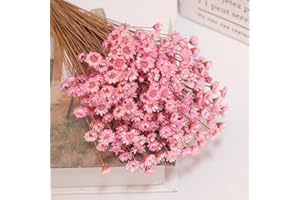 SONGJUM 240pcs Fiori Secchi Brasiliani Piccola Stella Margherita Fiori Secchi Decorativi Mini Margherita Camomilla Bouquet per Fai Da Te Home Wedding Decor Regalo (Rosa)