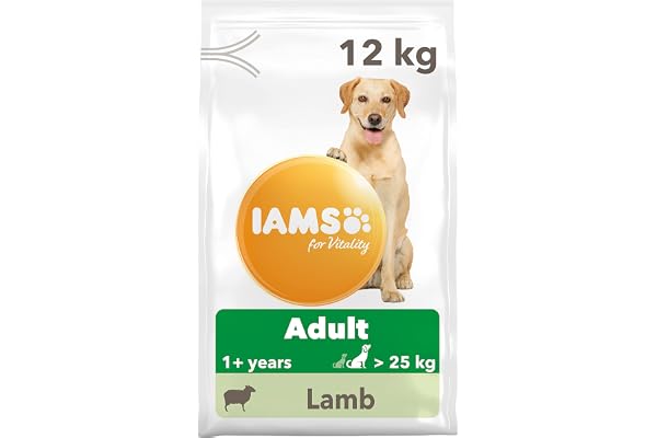 IAMS hundfoder torr med lamm – torrfoder för vuxna hundar från 1 år, lämplig för stora hundar, 12 kg