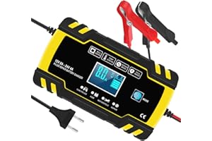 InThoor Caricabatterie e Mantenitore Auto 12V/24V 8A, Carica Batteria per Auto Moto Camion AGM Batterie, Automatico Intelligente Caricabatteria con Schermo LCD