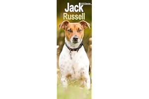Jack Russell Slim 2026 Calendar | Slimline Wall Calendar | Dog Breed Gift | Plastic Free Packaging | by Avonside Publishing