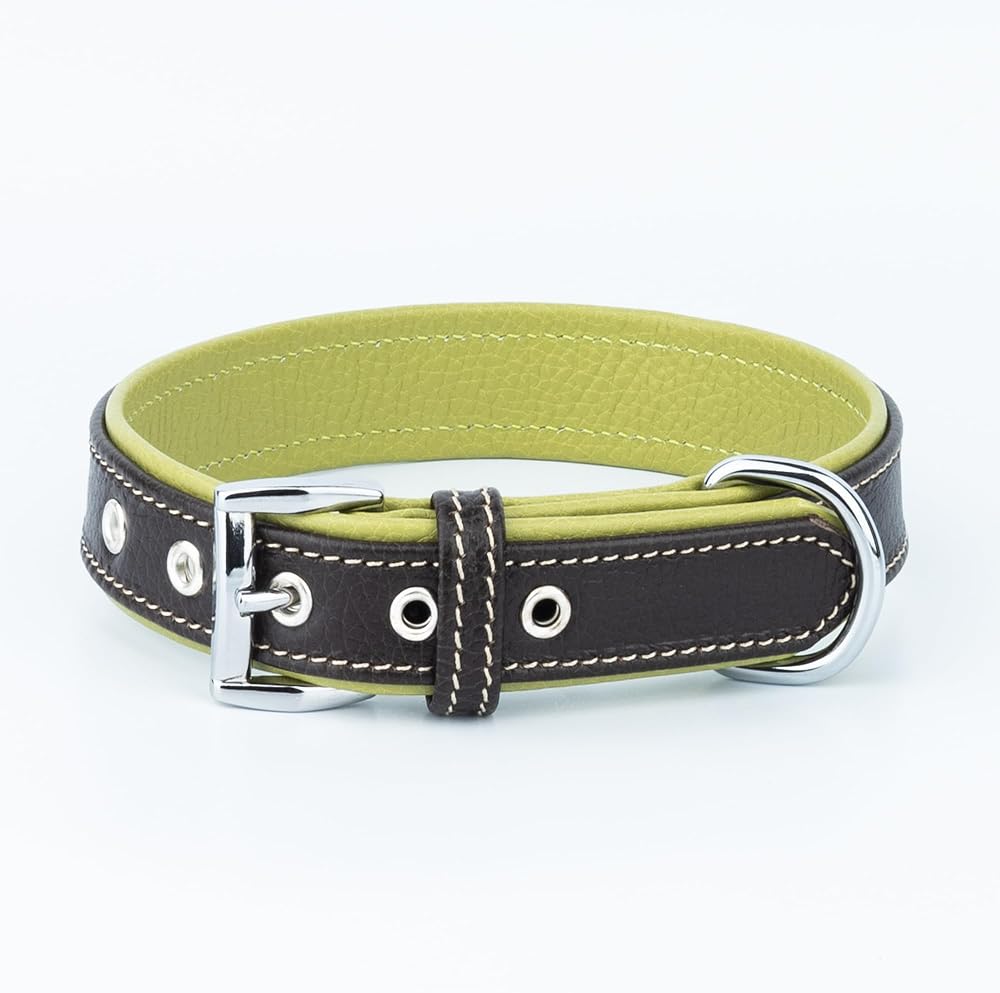 Canini Collar Hakiki Flotter Deri Köpek Tasması, Çift Katlı Deri, Ultra Dayanıklı Tasma (Kahverengi-Yeşil, XL)