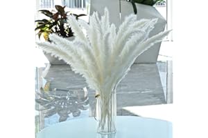HILEYU 30 Pcs Pampas Grass - 40cm White Small Dried Artificial for Flower Arrangements & Home Decor