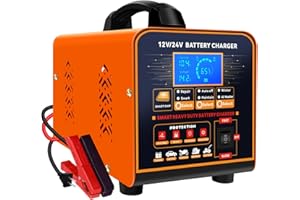 SolaMr 12V/24V Cargador Baterias Coche y Mantenedor Bateria, Arancador Batería Coche Inteligente Automático, 0-20A Car Battery Charger con Reparación, Modo Invierno, para AGM Coche Camión Moto