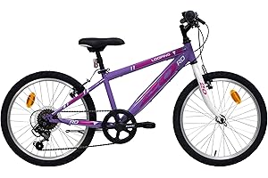 Eden Bikes VTT 20'' Rigide Mixte Freerider Equipé de 6 Vitesses par poignée tournante et Freins V-Brake