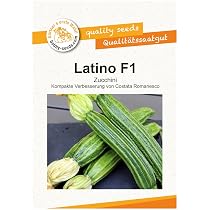 Bobby-Seeds Bio-Zucchinisamen 'Costata Romanesco' – 50 Korn, Die Schmackhafteste Zucchini Für Deinen Garten