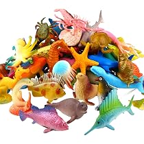 Animali Marini per Bambini, 12 Pezzi Animali Marini Giocattolo con Flashcard Abbinate, Realistico Marine Animali Figure Set, Regalo per Bambini