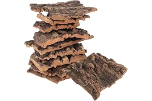 POPETPOP Corteza De Corcho para Reptiles - 10 Piezas Fondo De Corteza De Corcho Cortezas De Árbol De Reptil Madera De Corcho para Terrario Corteza De Corcho De Reptil De Madera para