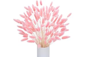 Barlone 120 Stück Pampasgras Klein, Hasenschwanzgras Getrocknet Pampasgras Deko, Pampas Gras Trockenblumen Rosa, Trockenblumen Klein Pampas Gras für Deko Wohnzimmer Hochzeit Tischdeko