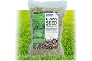 UK GROW UKgrow Fast Grow Grass Seed: Quick-Sprouting Lawn Seed for Patch Repairs & New Lawns - from 1m² to 100m² Packs (1m² Pack)