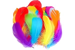 SSKHE 300 Plumes Plumes Loisirs Creatifs, Plume, Plume Decoration, Décoration pour DIY Arts Crafts, Costume, Attrape-rêves Masques de décoration, Festival, fête d'anniversaire