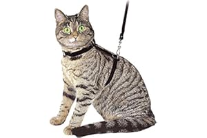 Ducomi Silvestro Harnais pour Chat Réglable 105cm – pour Chats, Chaton, Lapins et Chiots - Harnais de Sécurité et Anti Èvasion - Laisse Chat Extensible (Black)