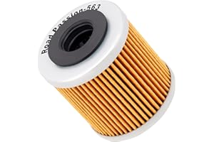 Road Passion Filtro de Aceite para DERBI TERRA ADVENTURE 4T 125 2007-2012 / DERBI SENDA R DRD RACING 4T 125 2012 / DERBI GPR 4T 125 2012