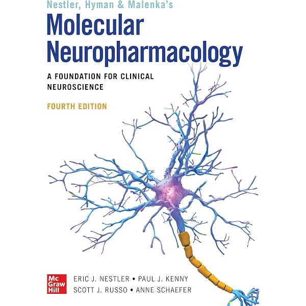 Buy Basic Neurochemistry: Principles of Molecular, Cellular and