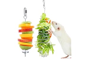 Jevnd 2Pcs Rat Enrichment Toys, 304 Stainless Steel Rat Foraging Toy for Fruit Vegetable Holder, Fancy Mice Cage Accessories Puzzle Toy, Hanging Rodent Toys Slow Feeder, Bird Foraging for Parakeet