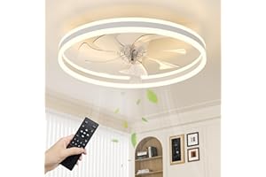 NIORSUN Ceiling Fans with Lights and Remote, 60cm Modern Smart LED Ceiling Fan Light, 6 Speeds and 3000K-6500K Dimmable Quiet Fan Lights Ceiling for Bedroom Living Room Dining Room (White)