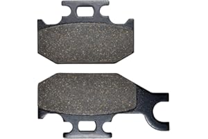 AHL 1 paire plaquettes de frein Arrière pour yamaha YFM 700 RV/RW/RX/RY Raptor 2006-2010