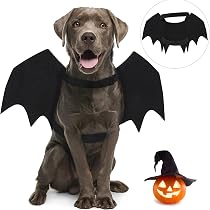 Costume Criniera Leone Per Cani - Parrucca Realistica Con Coda Taglia Media/Grande