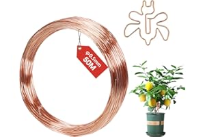 FIFIBANG 50M Kupferdraht, Ø0.5mm Copper Wire, T2 Reiner Kupferdraht Blank, Basteldraht Schmuckdraht, Gardening Kupferdraht, Kupferspulen für Garten, Pflanzen und Gemüseanbau DIY