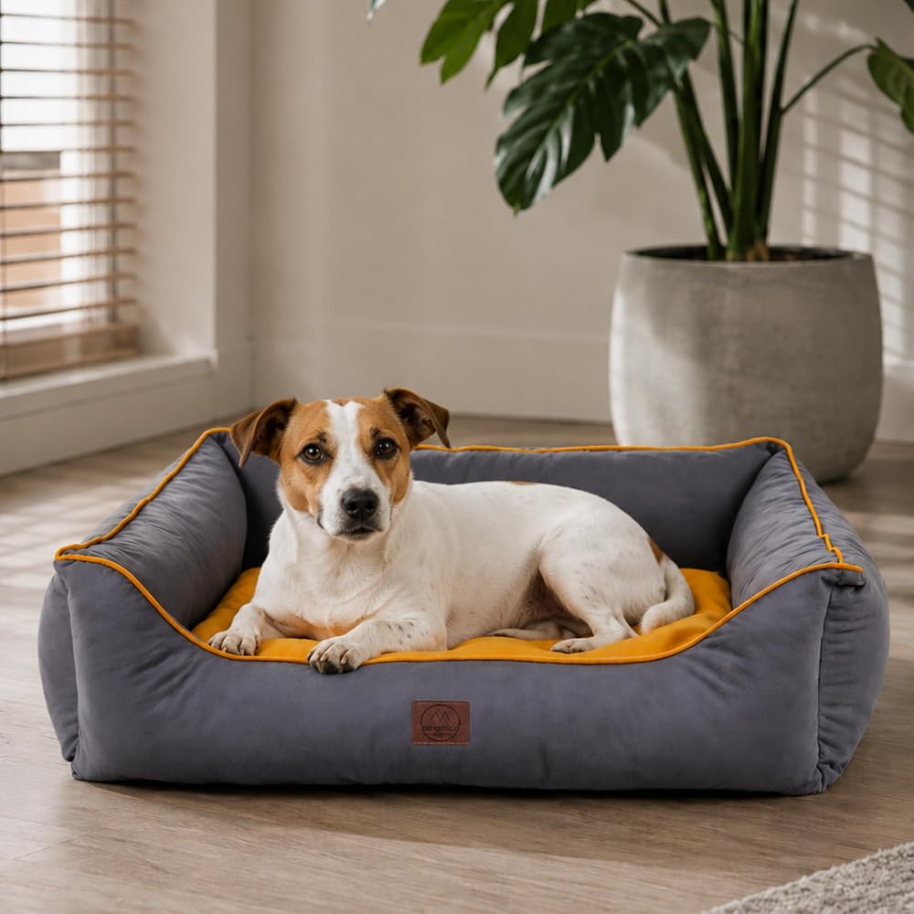 Jungolica Lucy Köpek Yatağı 75 × 95 × 22 cm Gri Hardal - Büyük Irklar İçin Pet Yatağı, Yumuşak Minderli, Yıkanabilir, Hızlı Kuruyan, Ortopedik Konfor Köpek Yatak (XL)