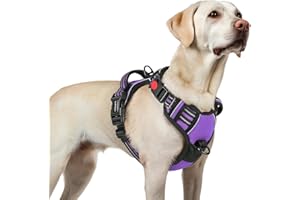 rabbitgoo Uprząż dla psa dla dużego psa z klamrą zwalniającą szyję, regulowana, zapobiegająca ciągnięciu uprząż dla psa, miękka wyściełana przednimi klipsami z tyłu i łatwym uchwytem, odblaskowa