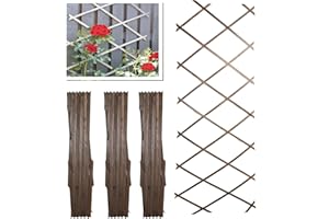 PRADICHI Wooden Expandable Pack of 3 Trellis for Climbing Plants – Garden Wall Trellis Fence Panels for Outdoor & Indoor Decoration, Partition & Plant Support (Oak Wood, 180cm x 30cm (3 Pack)