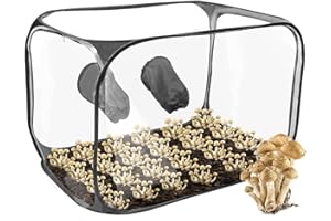 LES-THERESA Still Air Box, Tente de Culture de Champignons, Ensemble de Culture de Champignons avec 2 Ports à Bras, Kit de Culture de Champignons Portable Pliable en PVC pour Les Amateurs de Champignons (Noir)