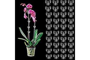 ACAREY 40 Stück Pflanzenclips Orchideen Klammern, Transparent Pflanzenklammern, 3.5cm Garten Deko Pflanzen Clips für Tomaten,Rosen,Orchideen usw, Pflanzen Klammern für Unterstützen und Halten Pflanze